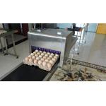 High Speed Dates Or Logo Egg Printing Machine With Computer Control for sale