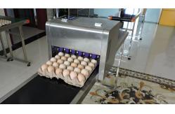 China High Speed Dates Or Logo Egg Printing Machine With Computer Control supplier
