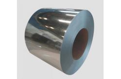China TH435 TH550 MR  Corrosion Resistance Tinplate  Coil Sheet SPTE TFS supplier