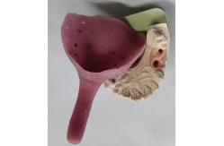 China Custom Denture Impression Trays supplier