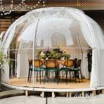 Custom Size 6m Geodesic Dome Security Assurance Bubble Dome Igloo Tent for sale