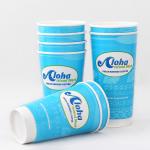 0.3L Cold Drink Disposable Cups 8oz Double Wall Compostable Coffee Cups for sale