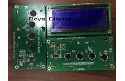 China 19264 Dots LCD Module Cog Transflective Mono Va LCD Display RY19264 Graphic supplier