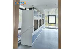 China Low Maintenance Steel Fume Hood with High Airflow and Optional Fan supplier