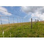Rust Resistance 14gauge Double Strand Traditional Twist  Galvanized Barbed Wire Coils for sale