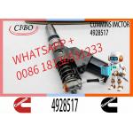 Diesel Fuel Engine Cumminns M11 Electronic Unit Injector 3411753 3411845 4928517 3095040 3411754 3411755 3411756 3411761 for sale