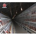 120 Capacity Hot And Cold Battery Chicken Cage A Type for sale