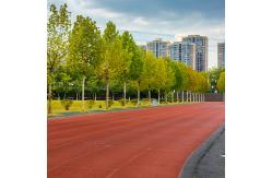 China Corrosion Resistant Synthetic Permeable All Weather Track Surface supplier