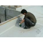 China PVC (polyvinyl chloride) Polymer Waterproof Membrane, Eco Friendly PVC Roofing Waterproof Membrane for sale