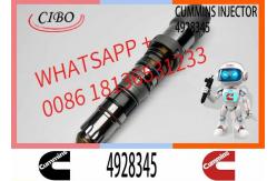 China Q19 diesel engine common rail injector 4087888 4087889 4928348 4010025 4928345 4928346 supplier