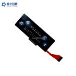 PET Embossed Keys LED Membrane Switch , Custom FPC LED Membrane Keypad for sale
