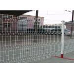 Security Green Powser Coating Wire Mesh Fence Panels For Residential