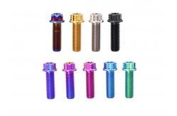 China Flange Flower Head Titanium Cycle Disc Roter Bolt Button Head Torx Drive supplier