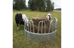 China Galvanized Feeder With Tombstone Railings For Cattle 12 Feed Openings supplier