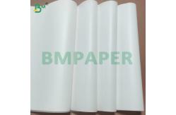 China Biodegradable Food Safe Cupcake Paper Sheets with Silicone Coated supplier