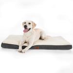 BSCI Suede 6 Inch Memory Foam Dog Bed Dog Bed Non Slip Orthopedic for sale