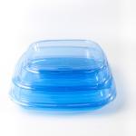 Square food container Takeaway Packaging Box Plastic For Good Food Plastic BLUE Disposable Sushi box for sale