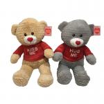 Teddy Bear Valentines Day Plush Toys OEM for sale