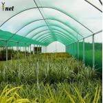 PE Sun Shade Net Anti Hail Agricultural Shade Netting Waterproof for sale
