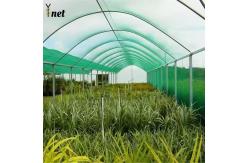 China PE Sun Shade Net Anti Hail Agricultural Shade Netting Waterproof supplier