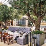 20m Height Artificial Olive Tree Custom Shape Natural Looking Frabric Leaves