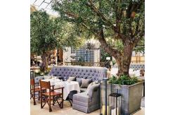 China 20m Height Artificial Olive Tree Custom Shape Natural Looking Frabric Leaves supplier