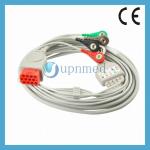Bionet BM5 5 lead ECG Cable,12pin for sale