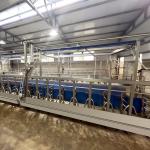 SUS304 Goat Herringbone Milking Parlor Feeding Trough Quick Exit Type Pipeline for sale