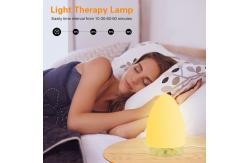 China 10000 Lux Natural Light Therapy Lamps Remote Control Sunlight Mood Lamp Customized supplier