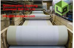 China corrugator belt supplier