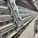 Automatic Poultry Farming Equipment Battery Cage For Laying Hens Battery Cage For Chicken for sale