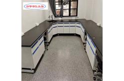 China Customizable and Durable Stainless Steel Chemistry Lab Furniture with Modular Structure supplier