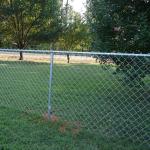 Hot Dipped Galvanized Chain Link Fence PVC Coated 50ft Length for sale