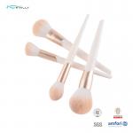 Customized OEM Basic Makeup Brush Set Plastic Handle Synthetic Hair Makeup Brushes