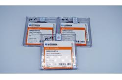 China 1.6mm Thickness PCBN Blank Cutting Inserts Good Appearance For Hard Metal supplier