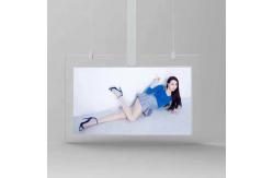 China 700 Nits Hanging Transparent LCD Screen 55inch OLED Double Sided Digital Display supplier