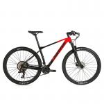 PREDATOR Pro 29er Carbon Fiber Mountain Bike 13 Speed Mtb for sale