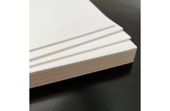 China Supercritical Foamed PVDF For Cleaning Pipe And Tube Insulation System supplier