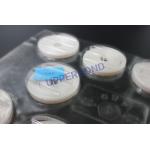 High Performance Nylon Band Attaching Cut Tobacco With Vacuum Pressure For Hauni Cigarette Machines for sale