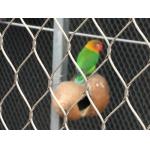 Knotted Stainless Steel Aviary Mesh Poultry Netting Zoo Animal Rope Mesh
