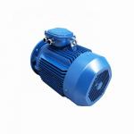 5.5-3000KW 380V 660V Permanent Magnet Gearless Motor High Torque High Output for sale