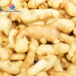 Brush bubble cleaning, drying, selection and cutting production line Fruit Vegetable FOOD processing production Machine