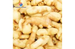 China Brush bubble cleaning, drying, selection and cutting production line supplier