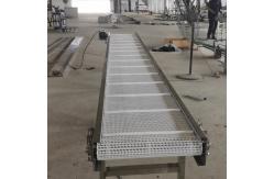 China                  Automatic Transfer Belt Roller Conveyor for Feeding Stone              supplier