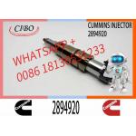 Neutral fuel Injector 5579415 2894920 2872405 for Cum-mins ISX15 QSX15