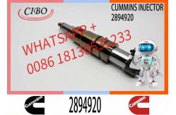 China Neutral fuel Injector 5579415 2894920 2872405 for Cum-mins ISX15 QSX15 supplier