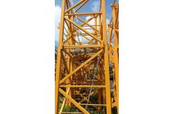China Global of Yellow Zoomlion 6515-10 Tower Crane for Construction supplier