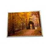 High Brightness TFT 1024*768 CCFL LCD Backlight Panel Display Screen for sale