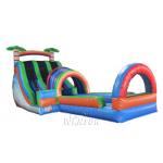 Simple Structure Dual Lane Water Slide With Pool For Amusement Park Ce Standard for sale