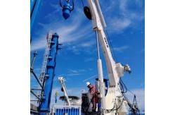 China 2.5T14M Offshore Drilling Rig Crane supplier